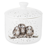 Банка для хранения с крышкой Royal Worcester Забавная фауна Совы 9,5х10 см