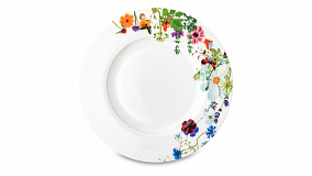 Столовый сервиз на 6 персон Rosenthal "Горный воздух", 20 предметов